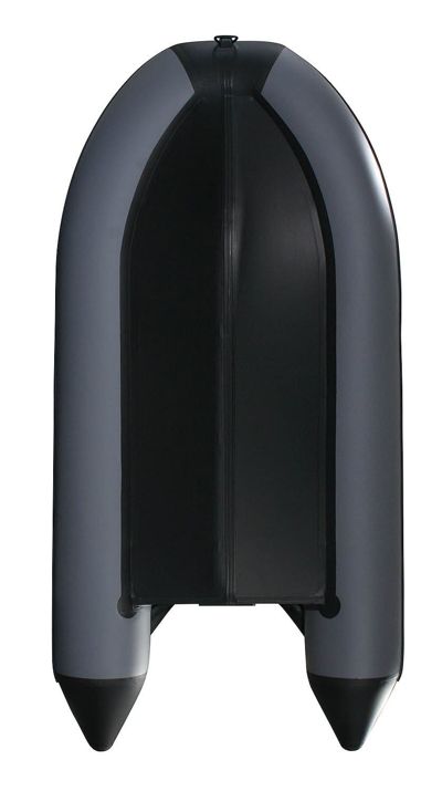 купить Лодка ПВХ PROFMARINE PM 350 CL в Москве - фото 