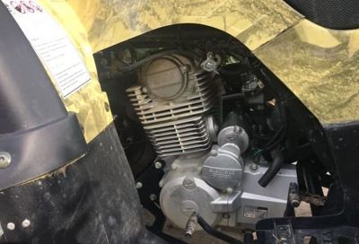 купить Квадроцикл MOTOLAND 250 Adventure (2021 Г.) в Москве - фото 