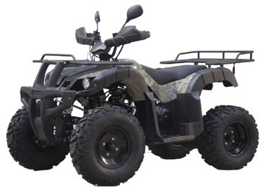 купить Квадроцикл UNIVERSAL Avenger JR 200 в Москве - фото 