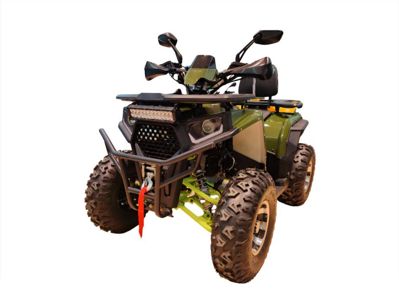 купить Квадроцикл FXMOTO Wasp 200 в Москве - фото 