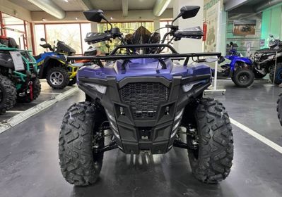 купить Квадроцикл IRIDE Wolf 300 в Москве - фото 