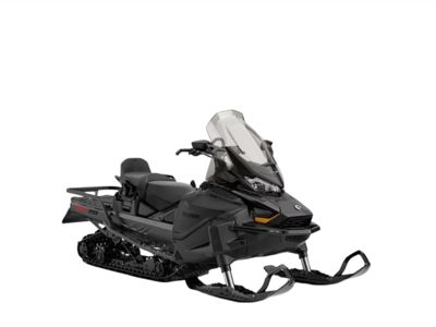 купить Снегоход BRP Skandic LE 900 Ace 24in 2024 в Москве - фото 