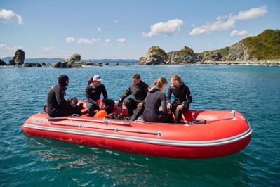 купить Лодка ПВХ COMPAS 500 в Москве - фото 