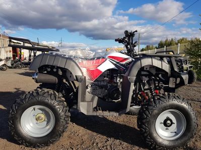 купить Квадроцикл YACOTA Sela 150 в Москве - фото 