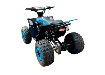 купить Квадроцикл MOTORHEAD Devil в Москве - фото 