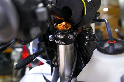 купить Мотоцикл кроссовый эндуро REGULMOTO Nibbi 300 в Москве - фото 