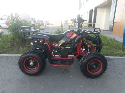 купить Квадроцикл MOTOLAND 50 Mini в Москве - фото 