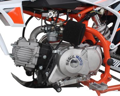 купить Мотоцикл REGULMOTO Pilot EA 12/10 PITBIKE в Москве - фото 