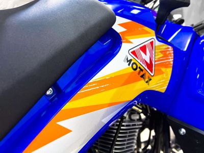 купить Квадроцикл MOTAX Grizlik 200 ULTRA BIG в Москве - фото 