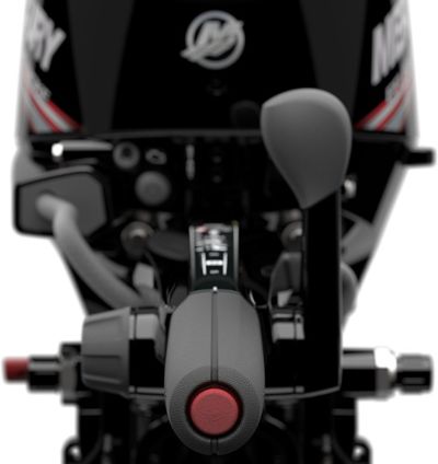 купить 4х-тактный лодочный мотор MERCURY F 10 MH EFI в Москве - фото 