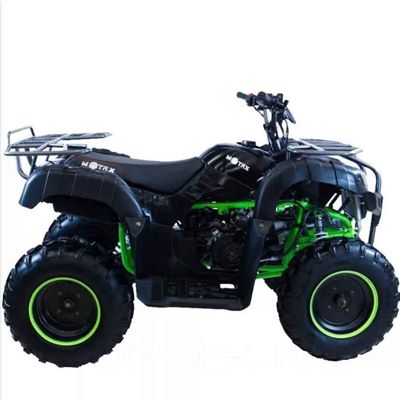 купить Квадроцикл MOTAX ATV Grizlik 200 Lux в Москве - фото 