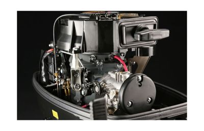 купить 2х-тактный лодочный мотор SUZUKI DT30S в Москве - фото 