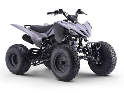 купить Квадроцикл SHARMAX Raizer Race Cup 250 в Москве - фото 