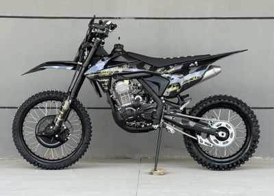 купить Мотоцикл FIDELIS Et Fortis S1 CB250-F ENDURO в Москве - фото 