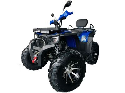 купить Квадроцикл MOTOLAND 300 Wild Track LUX в Москве - фото 