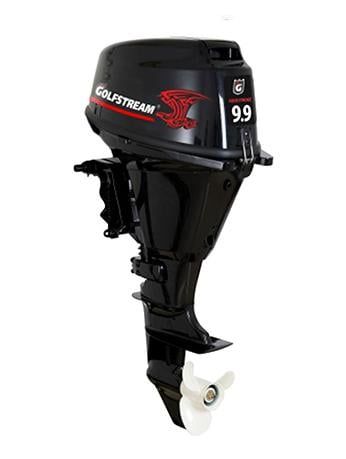 купить 4х-тактный лодочный мотор GOLFSTREAM F 9.9AFWS-EFI Enduro в Москве - фото 