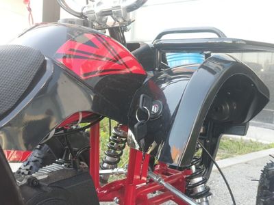 купить Квадроцикл MOTOLAND 50 Mini в Москве - фото 