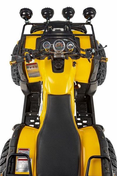 купить Квадроцикл RAPTOR Max Pro 250 (жёлтый/чёрный) (2024) в Москве - фото 