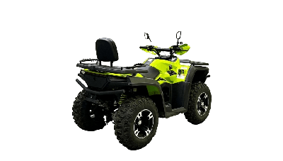 купить Квадроцикл BISON 330L в Москве - фото 