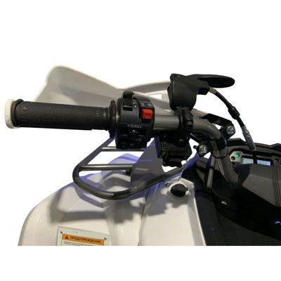 купить Квадроцикл MOTOLAND Shark 200 в Москве - фото 