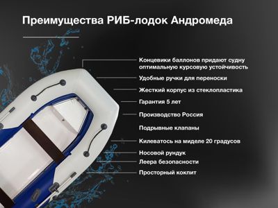 купить Лодка РИБ АНДРОМЕДА RS-305 в Москве - фото 