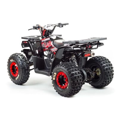 купить Квадроцикл MOTOLAND Wild 150 в Москве - фото 