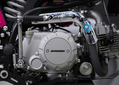 купить Мотоцикл питбайк SHARMAX Sport 190 Miami в Москве - фото 