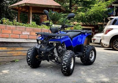 купить Квадроцикл TIGER Extra 175cc (2024) в Москве - фото 