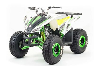 купить Квадроцикл MOTOLAND 125 Coyote (2021 Г.) в Москве - фото 