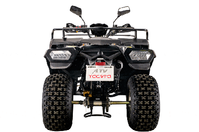 купить Квадроцикл YACOTA Cabo 200 LD в Москве - фото 