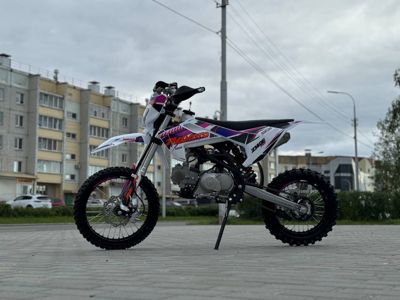 купить Мотоцикл JHL Z140E Pro PITBIKE в Москве - фото 