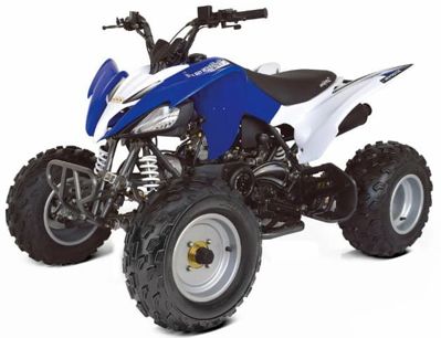 купить Квадроцикл ABM Scorpion 250 в Москве - фото 