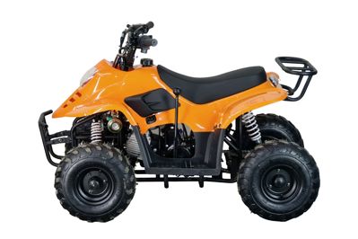 купить Квадроцикл STALKER 110 в Москве - фото 