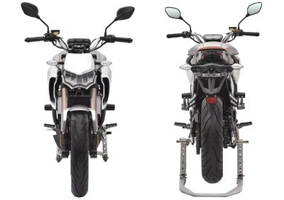 купить Мотоцикл REGULMOTO Alien Monster 300 ТУРЭНДУРО в Москве - фото 