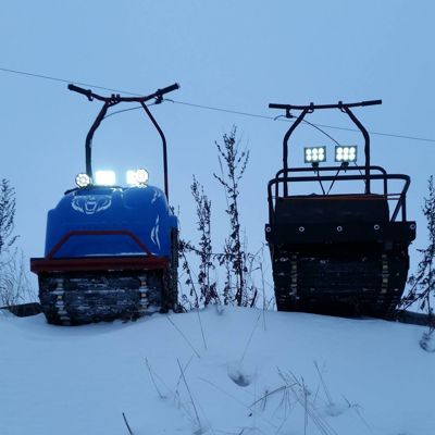 купить Мотобуксировщик MOTODOG 500 (9 л.с. задний привод) в Москве - фото 