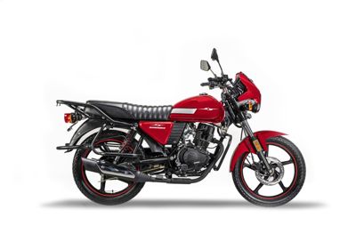 купить Мотоцикл SHARMAX Street Bike D Editions 200 (2024) в Москве - фото 