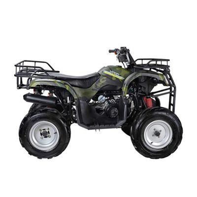 купить Квадроцикл WELS Purga 170 в Москве - фото 