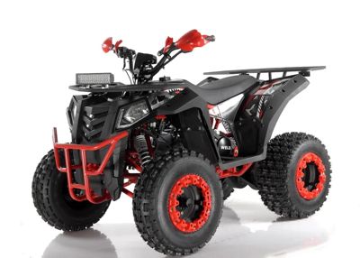 купить Квадроцикл WELS ATV Thunder 200 Evo X в Москве - фото 