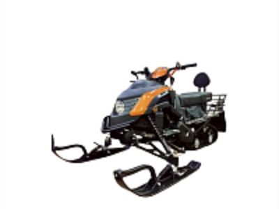 купить Снегоход MOTOLAND 210 NEW Forest S200 в Москве - фото 