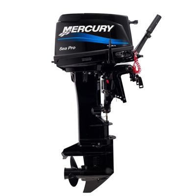 купить 2х-тактный лодочный мотор MERCURY ME 25 M SEAPRO в Москве - фото 