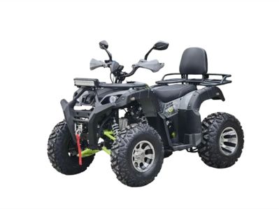 купить Квадроцикл RMOTO LION X 200 в Москве - фото 