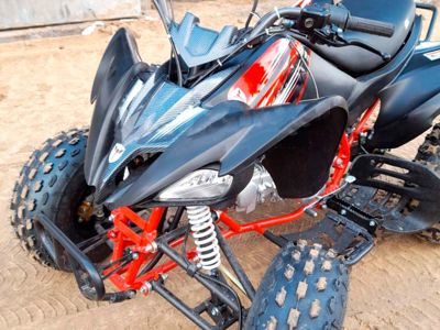 купить Квадроцикл МОТОМИР PANTERA 125 Б\У в Москве - фото 