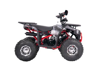 купить Квадроцикл YACOTA Sirius 125 LD в Москве - фото 
