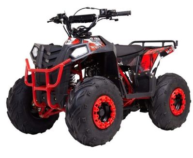 купить Квадроцикл RAPTOR Dux Lux 8 в Москве - фото 