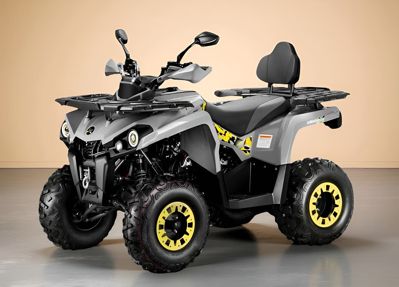 купить Квадроцикл ГЛАДИАТОР F200 Lux Plus в Москве - фото 