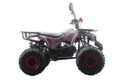 купить Квадроцикл MOTAX ATV Grizlik Premium 125cc в Москве - фото 