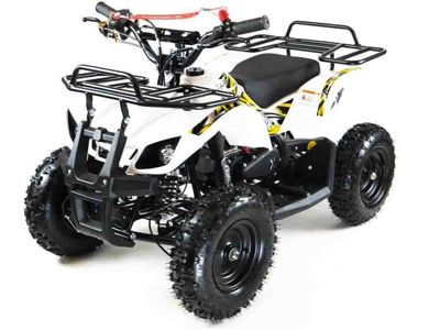 купить Квадроцикл MOTAX ATV Mini Grizlik X-16 в Москве - фото 