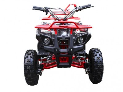 купить Квадроцикл MOTOLAND 50 Mini в Москве - фото 