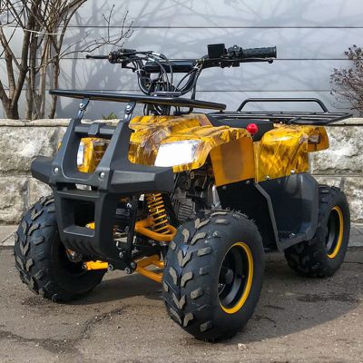 купить Квадроцикл YACOTA Smarty 110 в Москве - фото 