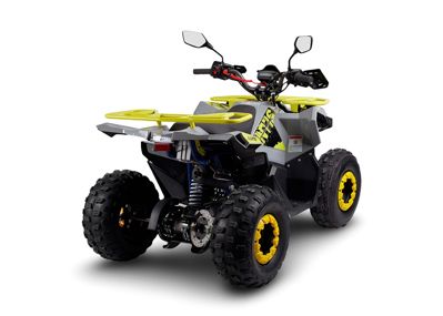 купить Квадроцикл AVANTIS Ray 8 Lux в Москве - фото 